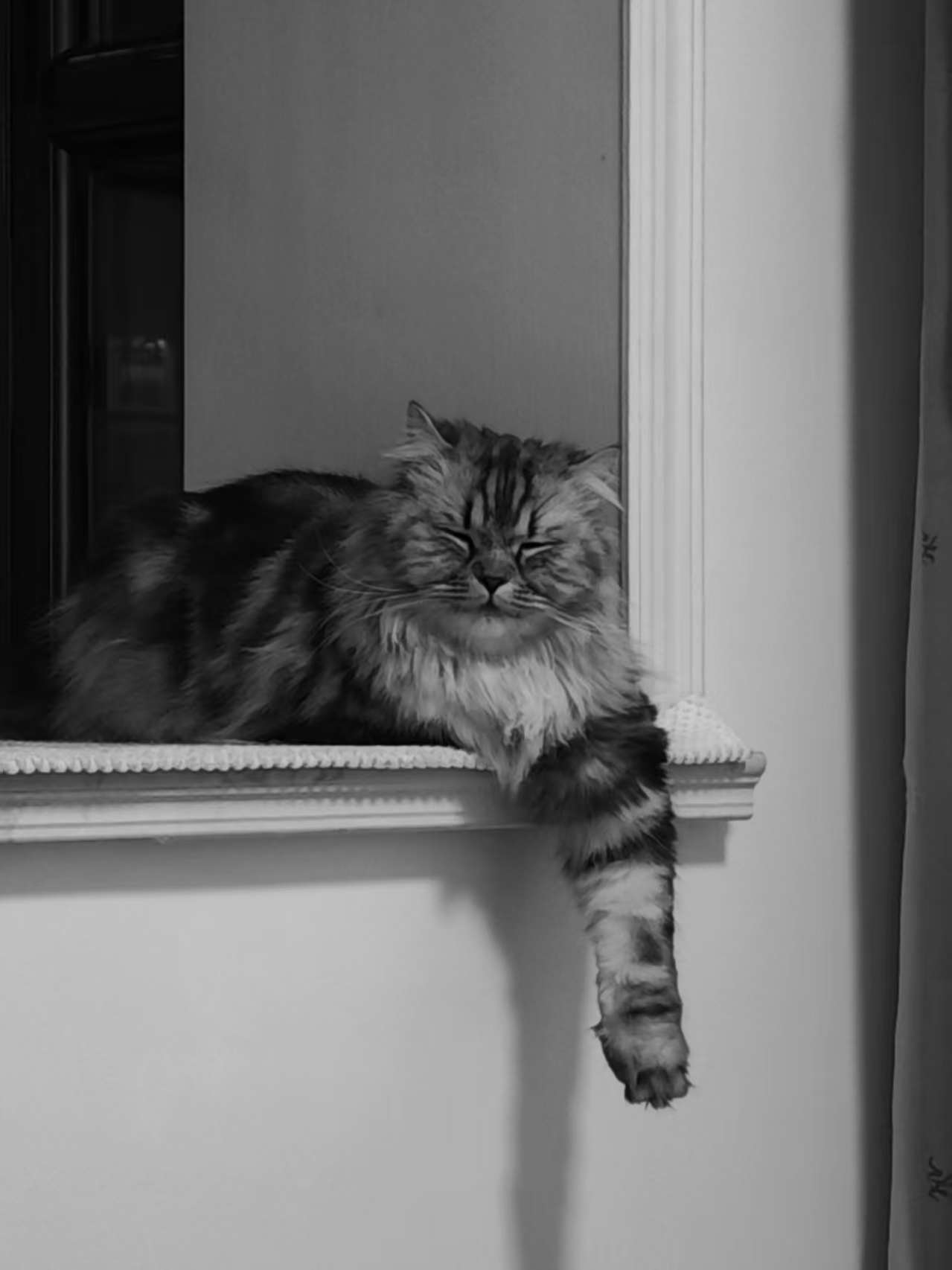 测试编辑器功能